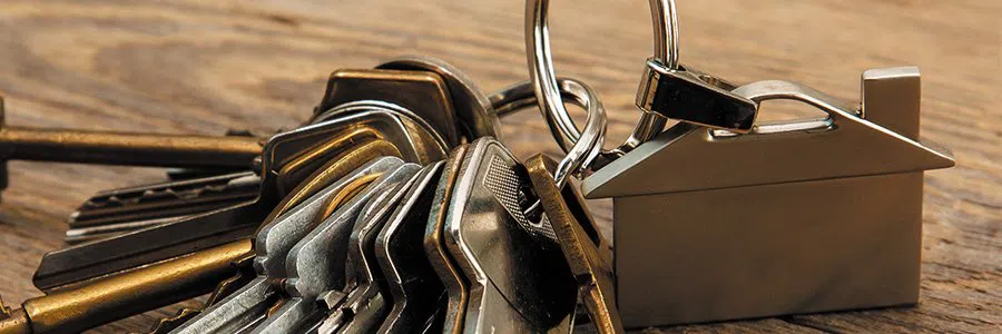 Tower Grove South Locksmith Store, St. Louis, MO 314-339-8117 - residential-locksmith-image